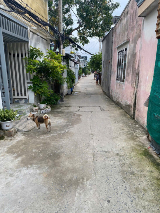 CHÍNH CHỦ CẦN BÁN GẤP ĐẤT TẠI LÊ VĂN LƯƠNG,NHƠN ĐỨC, NHÀ BÈ