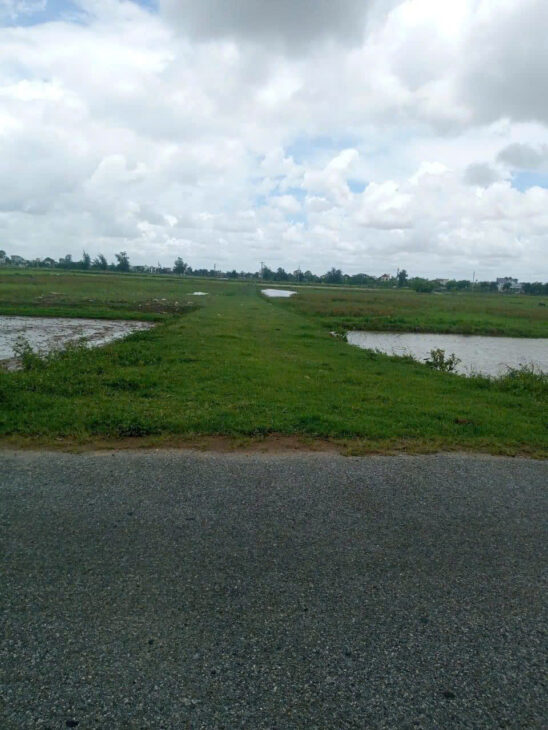 BÁN ĐẤT TẠI THÔN BẠCH ĐẰNG – XÃ QUANG MINH – KIẾN XƯƠNG CÓ THỂ MỞ XƯỞNG SẢN XUẤT, TRUNG TÂM THƯƠNG