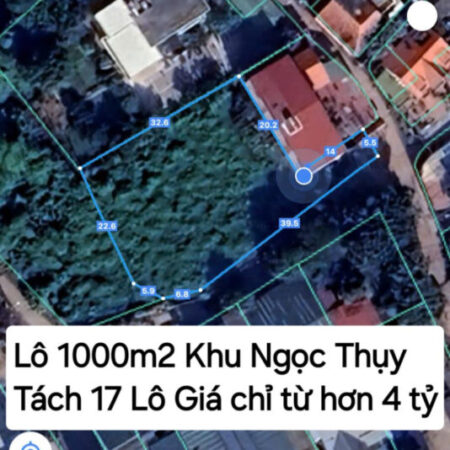 BÁN ĐẤT GIÁ ĐẦU TƯ LÔ 1000M2 ĐẤT ĐẸP KV NGỌC THỤY- Ô TÔ QUA NHÀ-CHIA RA 17 LÔ GIÁ CHỈ TỪ 4 ĐẾN 7 TỶ