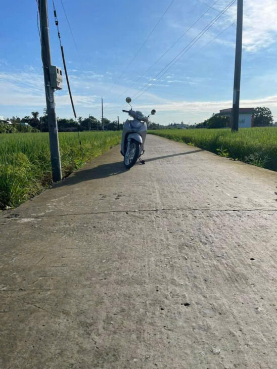 BÁN ĐẤT – TÂN TRỤ, LONG AN 962M2 CHỈ NHỈNH 1 TỶ.