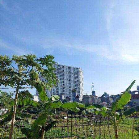 NHÀ ĐẸP BÊN MỸ – HÀNG HIẾM – NGÕ THÔNG – SỔ NỞ HẬU – GIÁ ĐẸP – 55m2 – Nhỉnh 8 tỷ