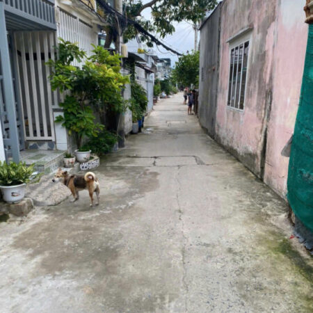 A KHOA CHÍNH CHỦ CẦN BÁN GẤP ĐẤT TẠI LÊ VĂN LƯƠNG,NHƠN ĐỨC, NHÀ BÈ A KHOA CHÍNH CHỦ CẦN BÁN GẤP ĐẤT TẠI LÊ VĂN LƯƠNG,NHƠN ĐỨC, NHÀ BÈ