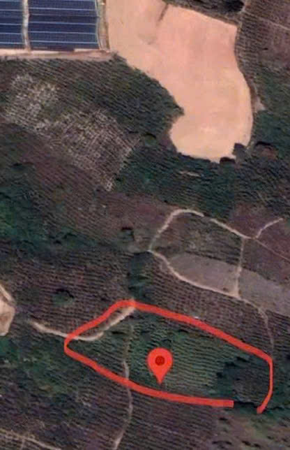 HOT !!! SỞ HỮU NGAY LÔ ĐẤT ĐẸP – GIÁ TỐT – Vị Trí Đắc Địa Tại Tại Cây Số 15 Tại Lâm Hà, Lâm Đồng HOT !!! SỞ HỮU NGAY LÔ ĐẤT ĐẸP – GIÁ TỐT – Vị Trí Đắc Địa Tại Tại Cây Số 15 Tại Lâm Hà, Lâm Đồng