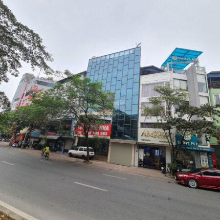 ⚜️ MẶT PHỐ VIP HOÀNG CẦU, ĐỐNG ĐA, 240M2 4T MT 8.5M, CHỈ 98 TỶ ⚜️ ⚜️ MẶT PHỐ VIP HOÀNG CẦU, ĐỐNG ĐA, 240M2 4T MT 8.5M, CHỈ 98 TỶ ⚜️