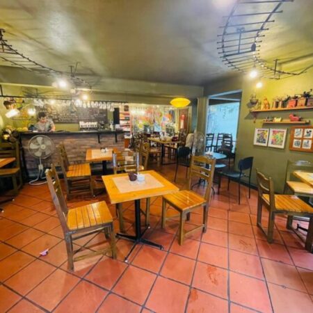 ???? BIỆT THỰ MẶT PHỐ CHÂU LONG, BA ĐÌNH, LÔ GÓC 115M2 4T, MT VIP 23M, CHỈ 82 TỶ ????