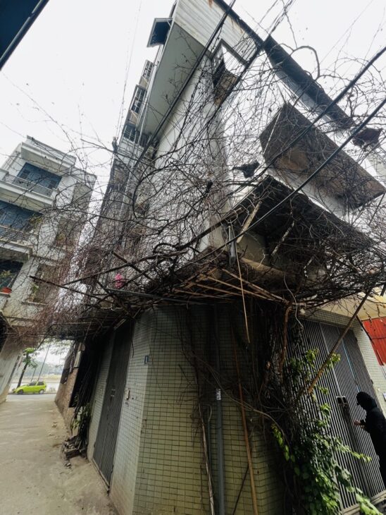 PHỐ LINH ĐƯỜNG – NHÀ LÔ GÓC, 3 MẶT THOÁNG, VIEW HỒ LINH ĐÀM