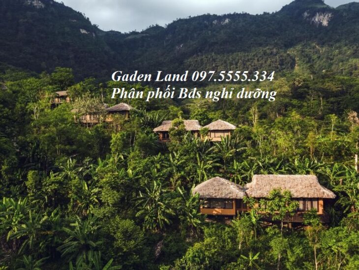 Garden Land là đơn vị chuyên phân phối BĐS nghỉ dưỡng tại Ba Vì giá từ 2 tỷ đến 50 tỷ. Hotline: