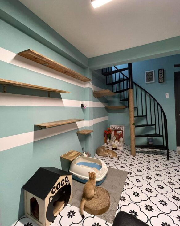 BÁN NHÀ GIẢI PHÓNG, P4 TÂN BÌNH