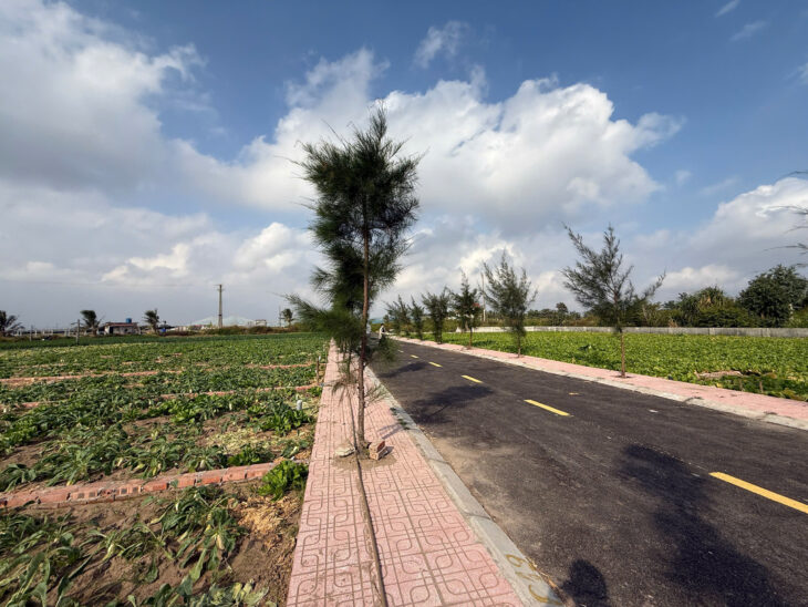 Bán đất sát biển Quất lâm chỉ từ 800 triệu/lô full thổ cư