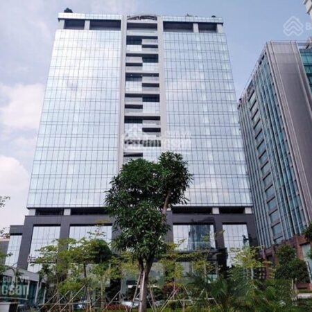 Ban quản lý cho thuê căn hộ tại chunng cư Hoàng Cầu Skyline, 36 Hoàng Cầu, Đống Đa Ban quản lý cho thuê căn hộ tại chunng cư Hoàng Cầu Skyline, 36 Hoàng Cầu, Đống Đa