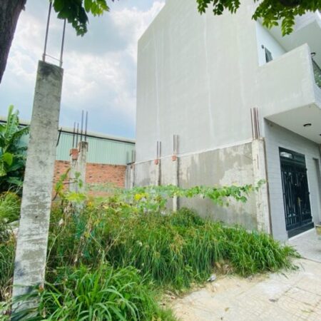 Bán Đất Quận 12 – Khu Phân Lô Đường 12M An Phú Đông