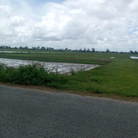 Bán đất thổ cư 90m2, Trà Giang, Kiến Xương, Thái Bình – 1 tỷ