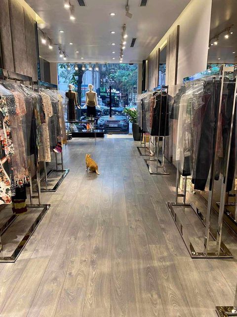 MẶT PHỐ LÝ THƯỜNG KIỆT – HOÀN KIẾM, 3 MẶT THOÁNG, THANG MÁY: 102M, 6T, GIÁ CHÀO 82 TỶ