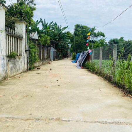 Đất Đại Cường – Đại Lộc diện tích lớn Đất Đại Cường – Đại Lộc diện tích lớn