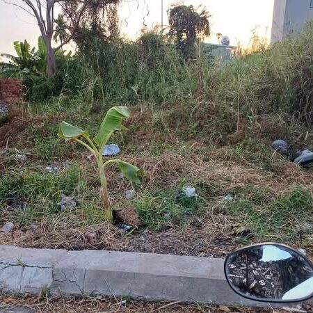 ????????Đất thổ cư lô góc 2 Mặt hẻm 1/đường THẠNH XUÂN 52, phường THẠNH XUÂN, Q12, dt 217m2 (15mx15m)