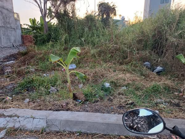 ????????Đất thổ cư lô góc 2 Mặt hẻm 1/đường THẠNH XUÂN 52, phường THẠNH XUÂN, Q12, dt 217m2 (15mx15m)