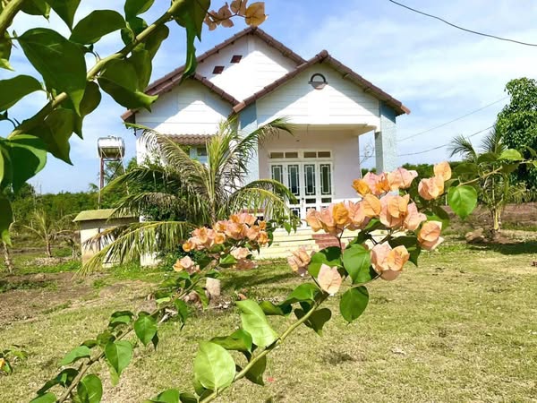 ✨🏡 CƠ HỘI CÓ 1 0 2 – SỞ HỮU ĐẤT & NHÀ ĐẸP VIEW HỒ DAKLAK – HƠN 700 TR