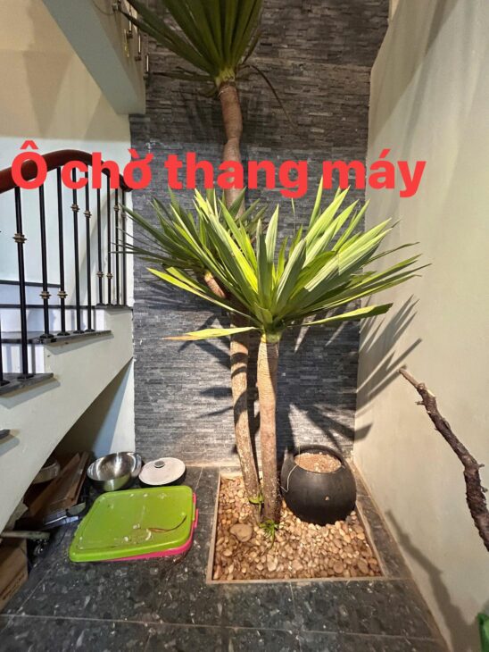 Bán Nhà Phố THÁI HÀ -KV vip Trung Tâm Quận -KD Sầm Uất Ngày Đêm – Gần Ô tô – Ô Chờ Thang Máy – 70m