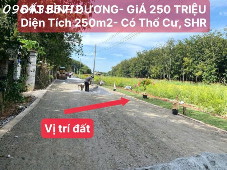 BÁN ĐẤT SỔ SẴN 250M2 TÂN LONG – PHÚ GIÁO – GIÁ 780 TRIỆU