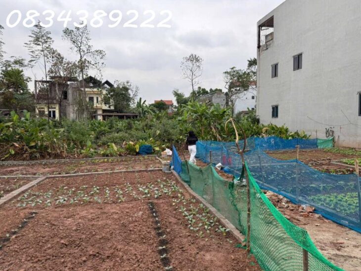 Đất rẻ, ngay sát Hà đông, Cao Viên Thạch Bích Diện tích 40m2, mặt tiền 4,5m giá 1,4 tỷ