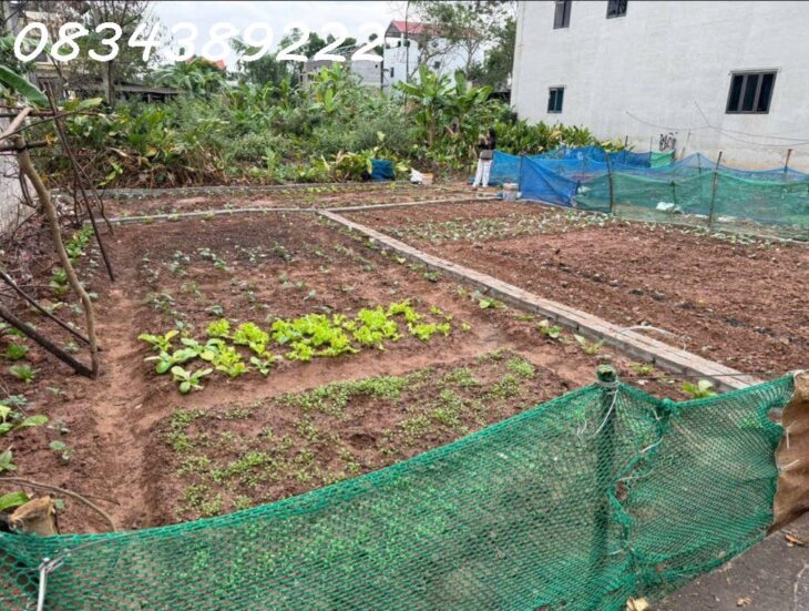 Đất rẻ, ngay sát Hà đông, Cao Viên Thạch Bích Diện tích 40m2, mặt tiền 4,5m giá 1,4 tỷ