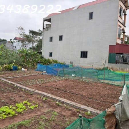 Đất rẻ, ngay sát Hà đông, Cao Viên Thạch Bích Diện tích 40m2, mặt tiền 4,5m giá 1,4 tỷ