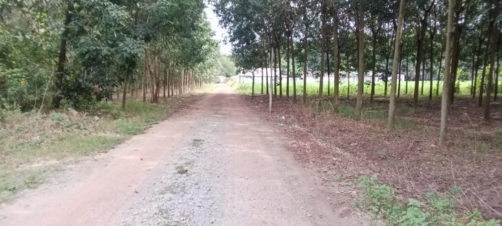 Cần bán lô đất 2 mặt tiền tại Vĩnh Hòa 70, Phú Giáo, Bình Dương