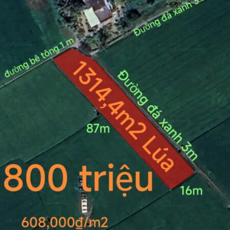 Bán gấp lô đất lúa hai mặt tiền xã Đức Tân giá 800 triệu