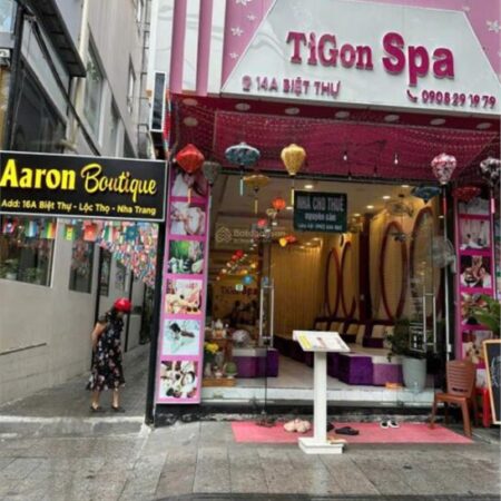 Cho thuê nhà nguyên căn khu phố Tây đường Biệt Thự