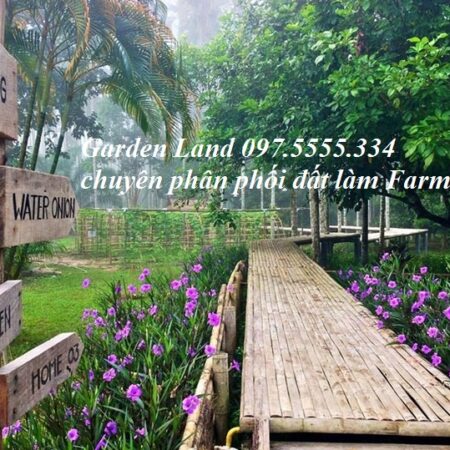 Garden Land là đơn vị chuyên phân phối BĐS nghỉ dưỡng tại Ba Vì giá từ 2 tỷ đến 50 tỷ. Hotline: Garden Land là đơn vị chuyên phân phối BĐS nghỉ dưỡng tại Ba Vì giá từ 2 tỷ đến 50 tỷ. Hotline: