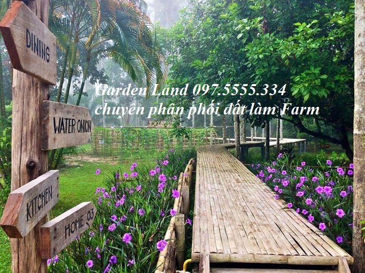 Garden Land là đơn vị chuyên phân phối BĐS nghỉ dưỡng tại Ba Vì giá từ 2 tỷ đến 50 tỷ. Hotline: