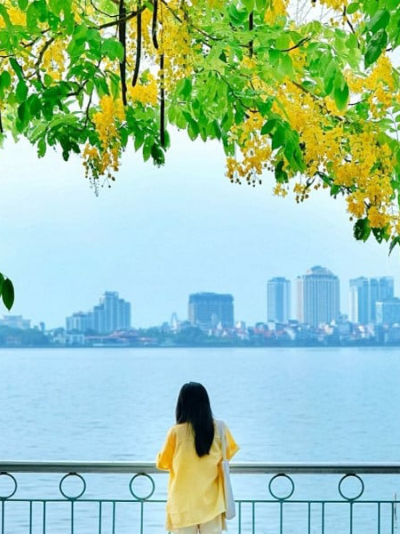 Làm Ăn Thua Lỗ Cần bán Gấp nhà tk13 Thụy Khuê 6 tỷ 3 phút ra Hồ Tây