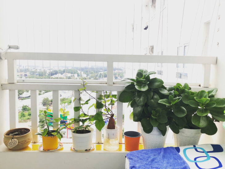 Cần bán căn nhà 1PN1WC đô thị Phúc Đạt (Phúc Đạt Connect) đã có sổ