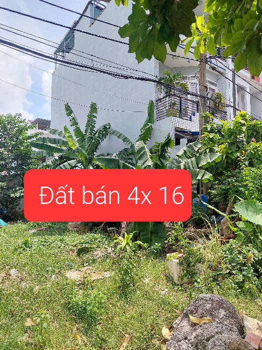 Bán đất 390 An Dương Vương 4×16 chỉ 6 tỷ 6