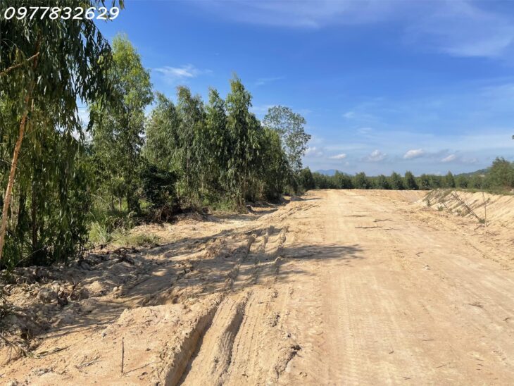 Chỉ 180 triệu. 1000m2 đất Tân Xuân – Hàm Tân đường rộng 10m sổ riêng