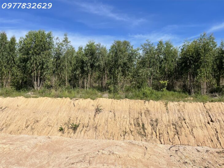 Chỉ 180 triệu. 1000m2 đất Tân Xuân – Hàm Tân đường rộng 10m sổ riêng