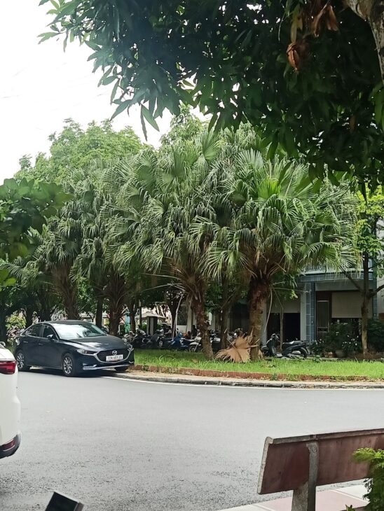 Bán đất thổ cư 90m2, Hùng Vương, Phú Khánh, Thái Bình – 2.3 tỷ