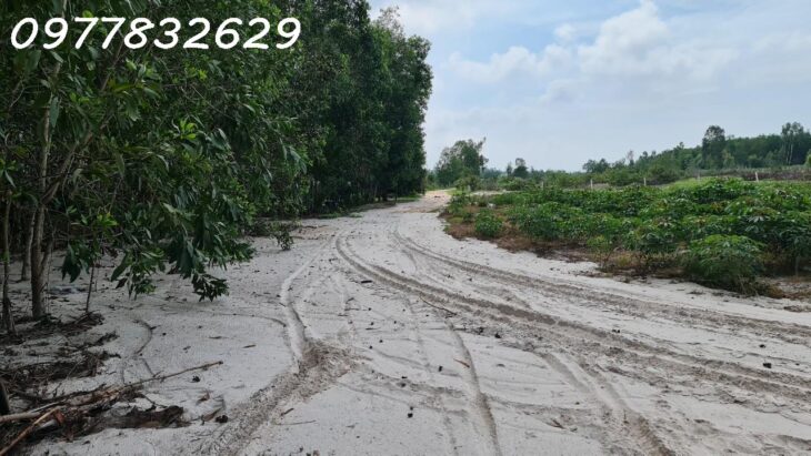 Chỉ 500 triệu sở hữu 1000m2 Tân Bình – TX LaGi đường xe hơi giá ngộp
