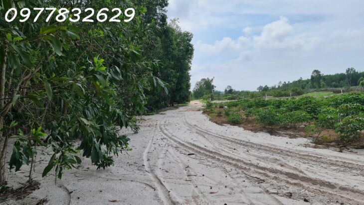 Chỉ 500 triệu sở hữu 1000m2 Tân Bình – TX LaGi đường xe hơi giá ngộp