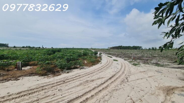 Chỉ 500 triệu sở hữu 1000m2 Tân Bình – TX LaGi đường xe hơi giá ngộp