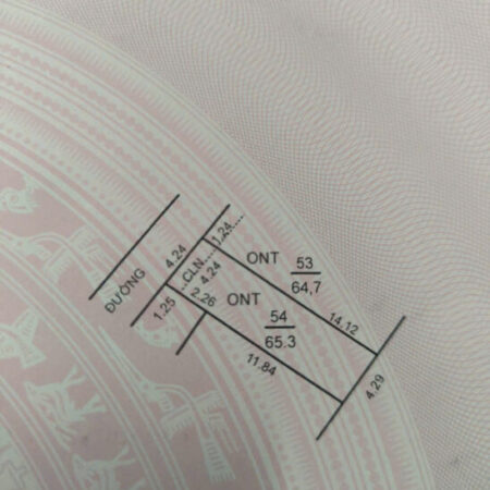 GIÁ NHÚ 2 TỶ DT 65,3 M TẠI MAI NỘ MAI ĐÌNH TIỆN ÍCH TRÀN VIỀN