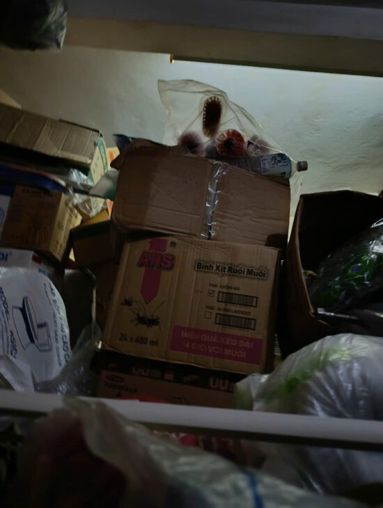 TÂY HỒ – LÔ GÓC, ÔTÔ TRÁNH – HAI MẶT NGÕ, KD ĐỈNH- An Dương 20 m, 4 T mt 4.2m