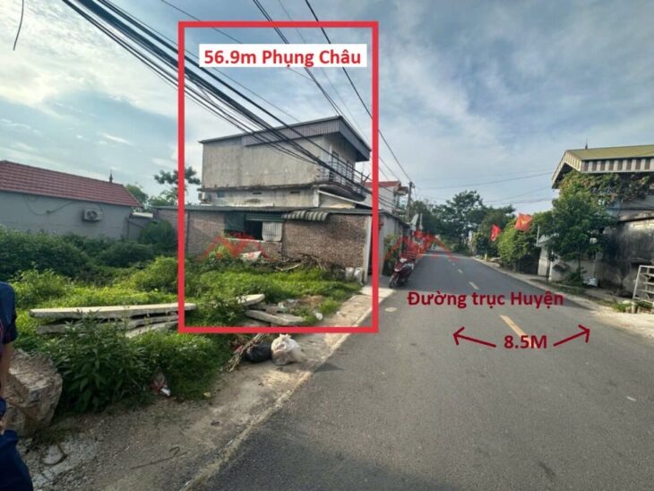 GIÁ 2,9 TỶ ĐẤT TẠI PHỤNG CHÂU-CHƯƠNG MỸ D/T:56,9M