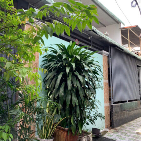 Bán nhà 140m2, 4PN, 4WC, 2 tầng, Linh Xuân, Thủ Đức, 5 tỷ Bán nhà 140m2, 4PN, 4WC, 2 tầng, Linh Xuân, Thủ Đức, 5 tỷ