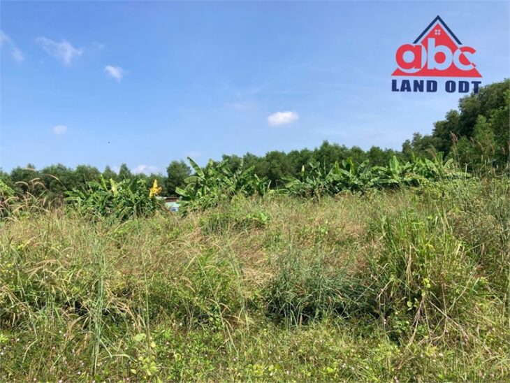 D408 bán đất đẹp ngang hơn 13m đường giao thông cộ xoài, huyết mạch liên thông các Huyện