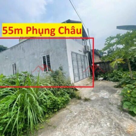 SIÊU PHẨM BÁN NHÀ GIÁ 2,8 TỶ TẠI PHỤNG CHÂU-CHƯƠNG MỸ D/T:55M