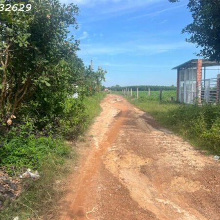 Bán 2000m2 đất ONT Tân Phước – TX LaGi giá ngợp chỉ 2.6 tỷ Bán 2000m2 đất ONT Tân Phước – TX LaGi giá ngợp chỉ 2.6 tỷ