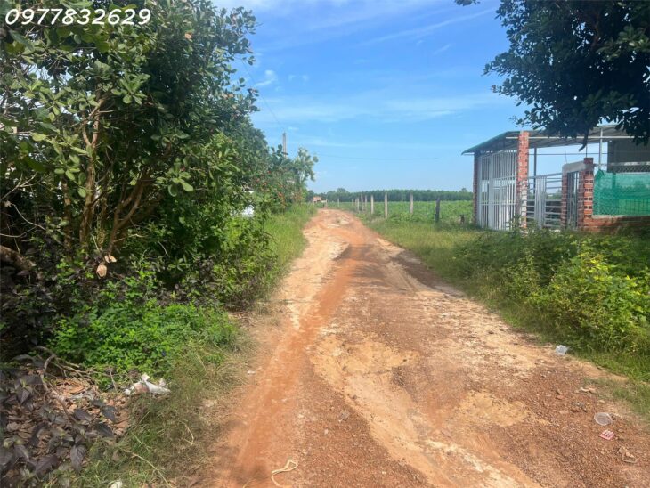 Bán 2000m2 đất ONT Tân Phước – TX LaGi giá ngợp chỉ 2.6 tỷ