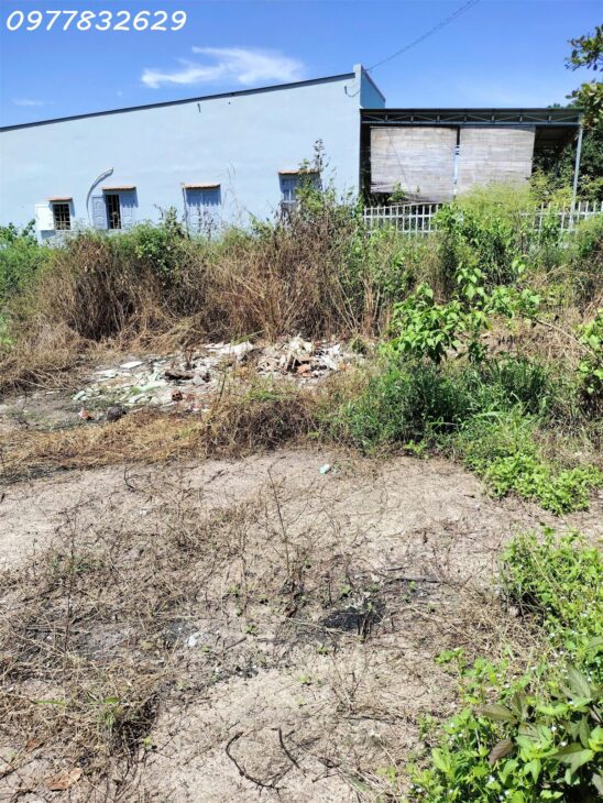 Bán 2000m2 đất ONT Tân Phước – TX LaGi giá ngợp chỉ 2.6 tỷ