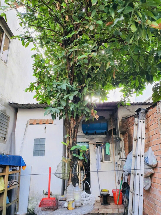 NHÀ MẶT TIỀN ĐƯỜNG 442, 50M TỚI LÊ VĂN VIỆT, TĂNG NHƠN PHÚ A, THỦ ĐỨC, GIÁ TỐT, 101M2